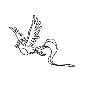 coloriage pokemon artikodin